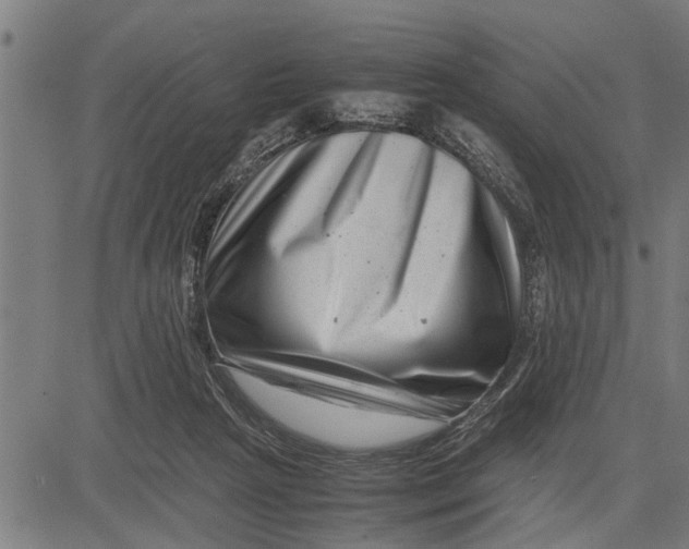 X0000081450265200702021750