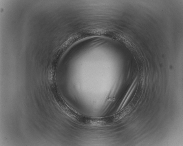 X0000081450268200702021750