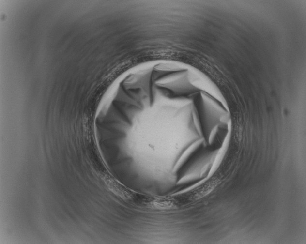 X0000081450270200702021750