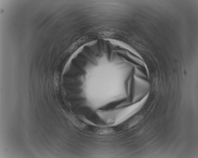 X0000081450274200702021750