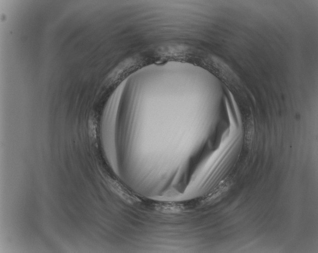 X0000081450282200702021750