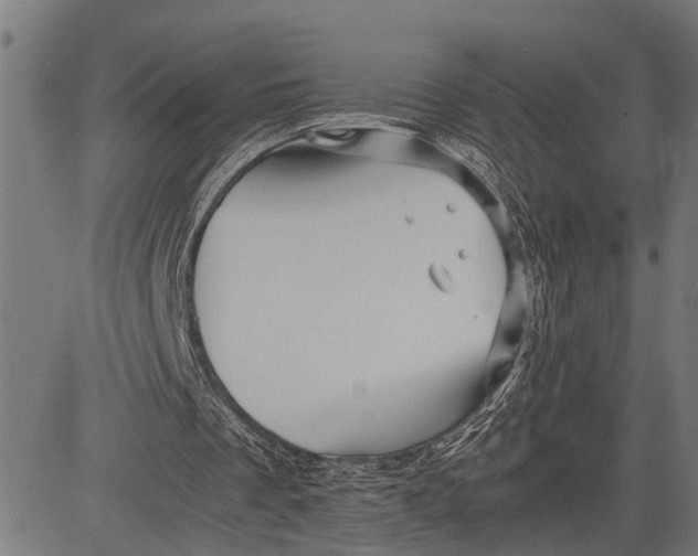 X0000081450289200702021749