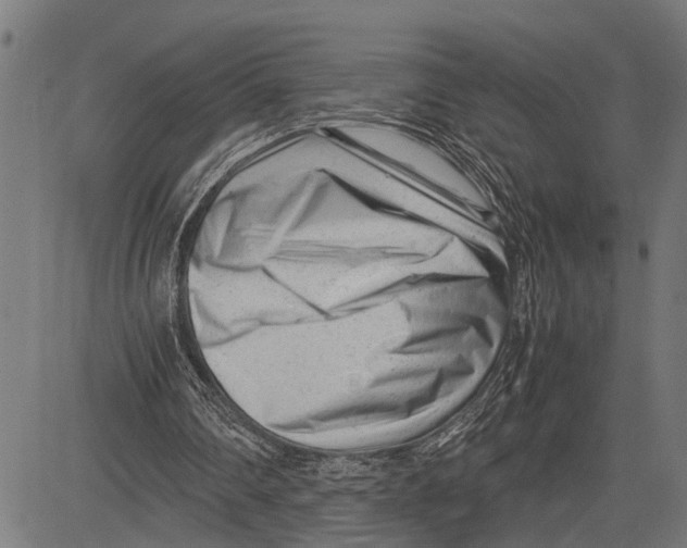 X0000081450290200702021749