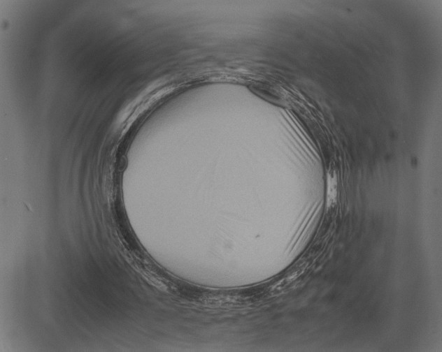 X0000081450291200702021749