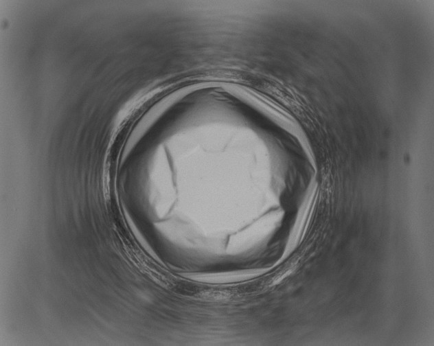 X0000081450294200702021749