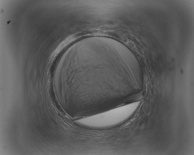 X0000081450295200702021749