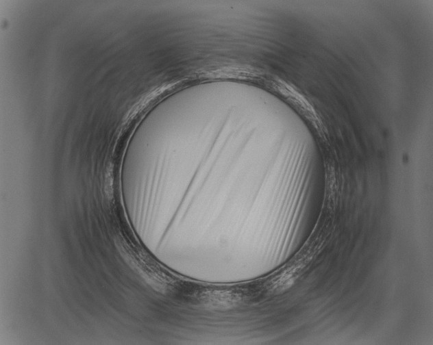 X0000081450298200702021749