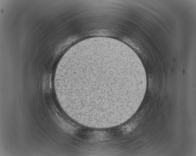 X0000081450302200702021749