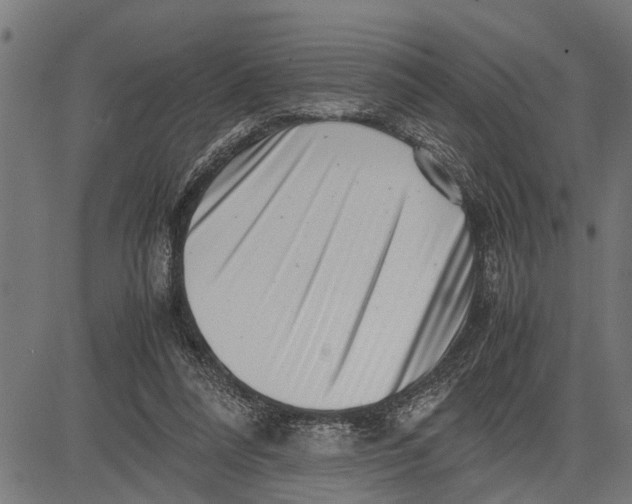 X0000081450304200702021749