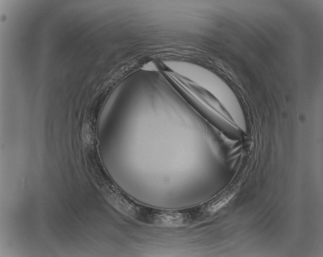 X0000081450317200702021749