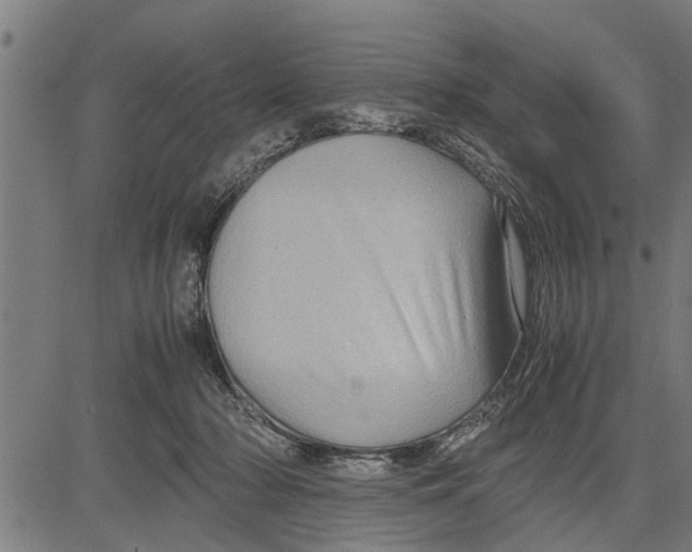X0000081450318200702021749
