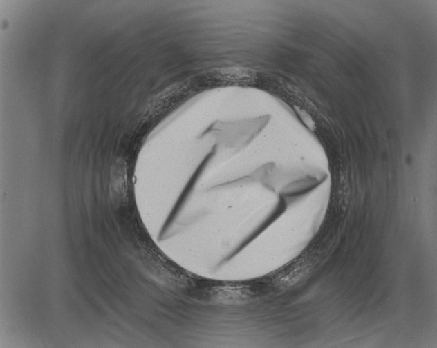 X0000081450320200702021749