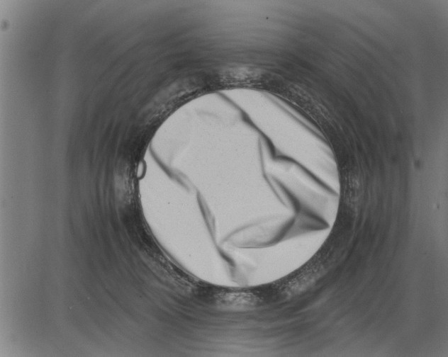 X0000081450324200702021749