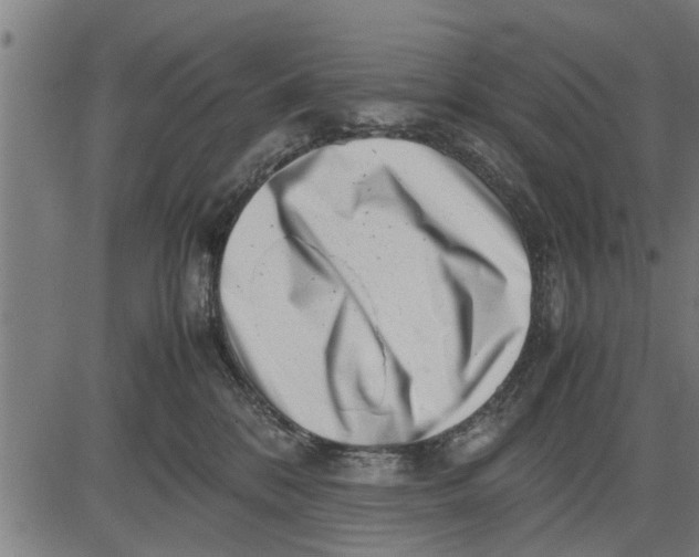 X0000081450328200702021749
