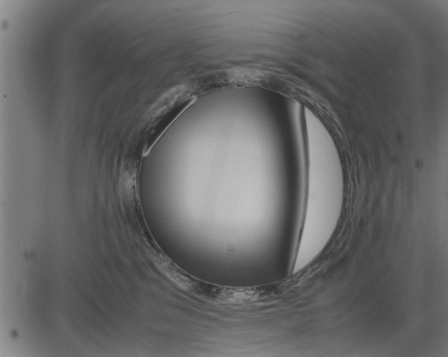 X0000081450329200702021748