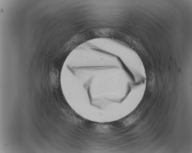 X0000081450332200702021748