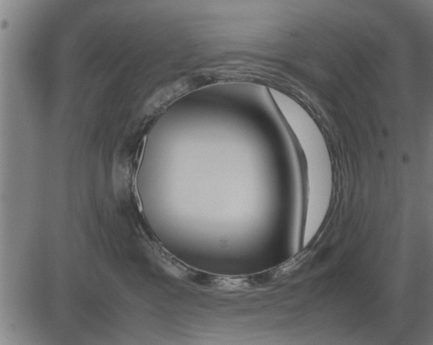 X0000081450333200702021748