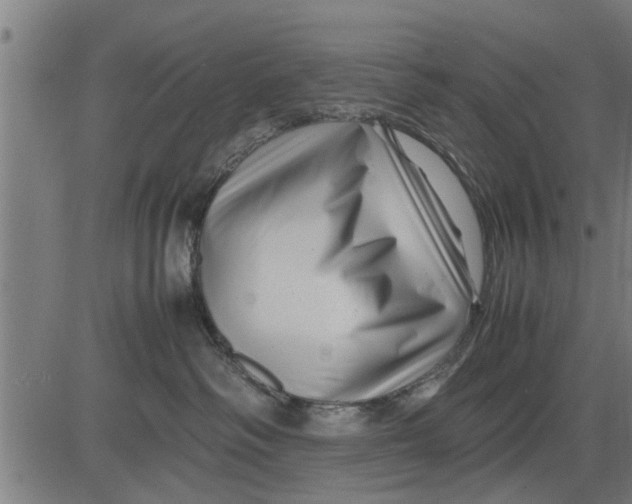 X0000081450334200702021748