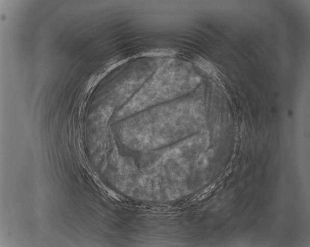 X0000081450337200702021748