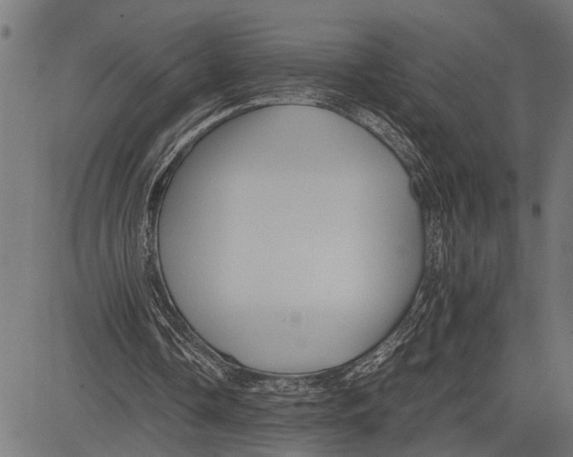 X0000081450338200702021748