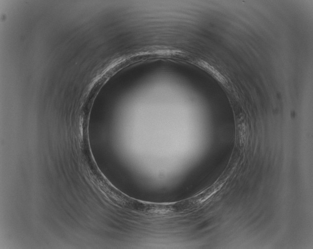 X0000081450350200702021748