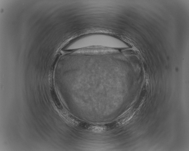 X0000081450352200702021748