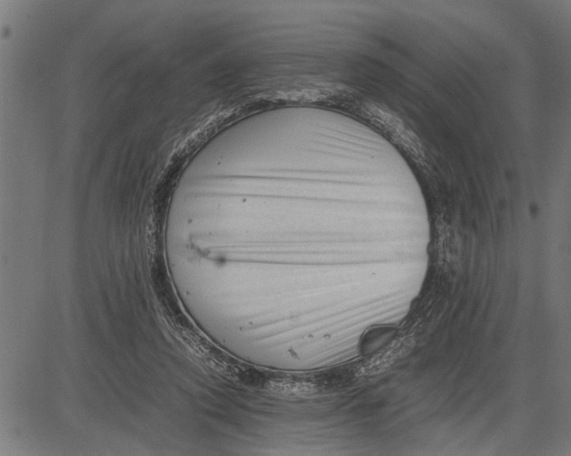 X0000081450354200702021748