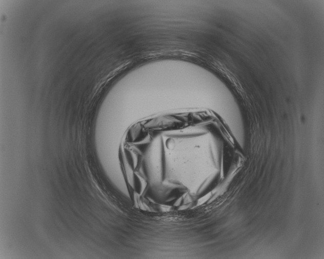 X0000081450356200702021748
