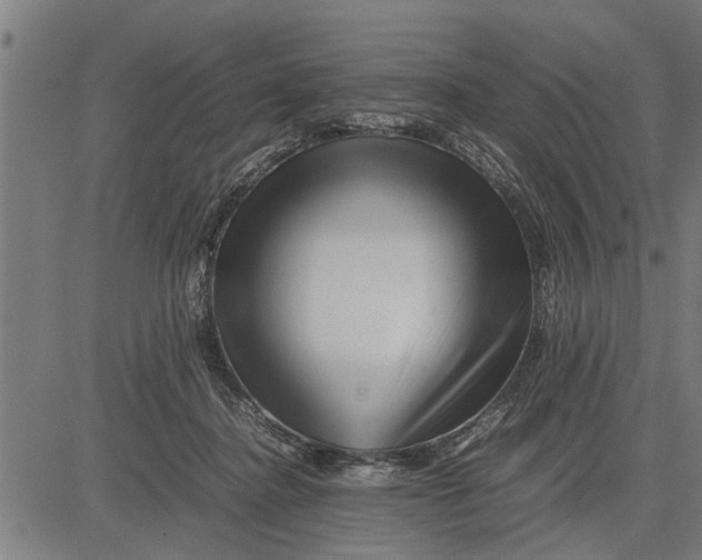 X0000081450364200702021748