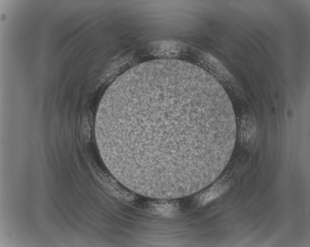 X0000081450370200702021748