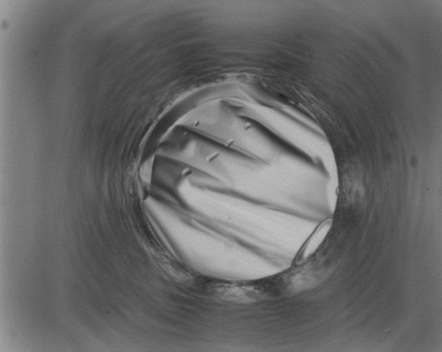 X0000081450379200702021748