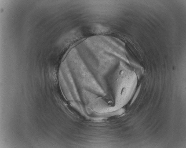 X0000081450380200702021748