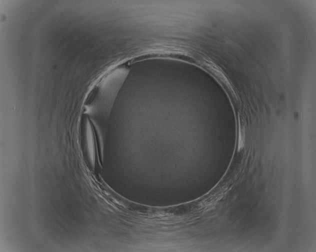 X0000081450387200702021748
