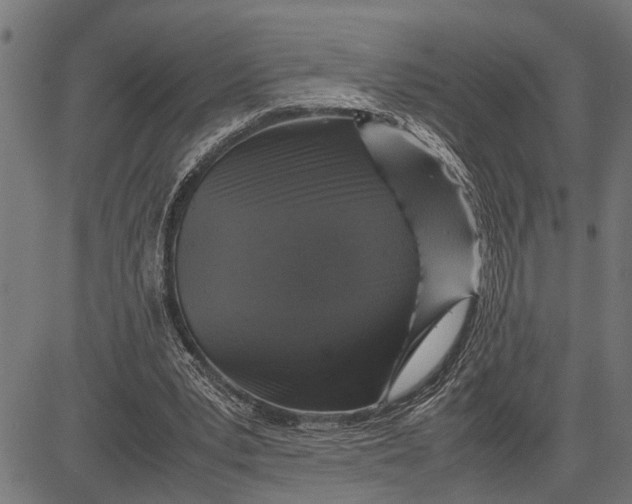 X0000081450391200702021747