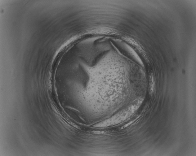 X0000081450392200702021747
