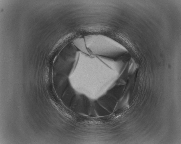X0000081450400200702021747