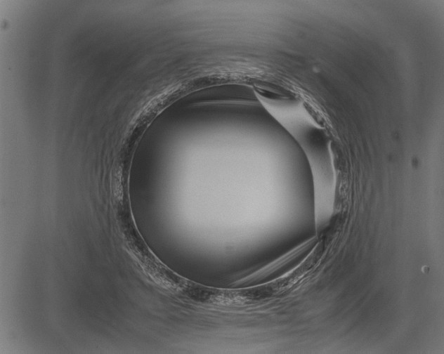 X0000081450403200702021747