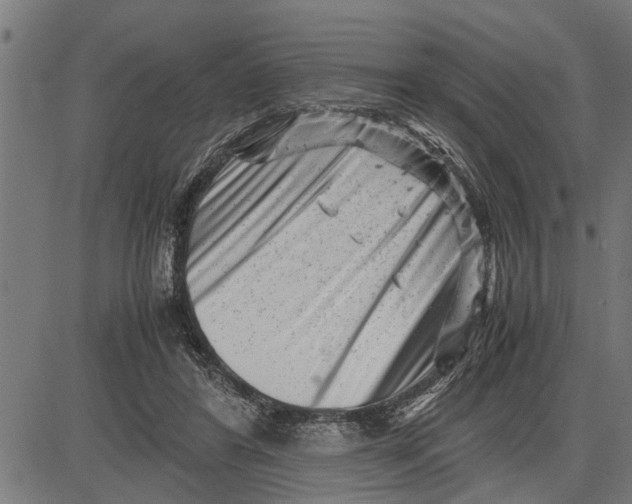 X0000081450404200702021747