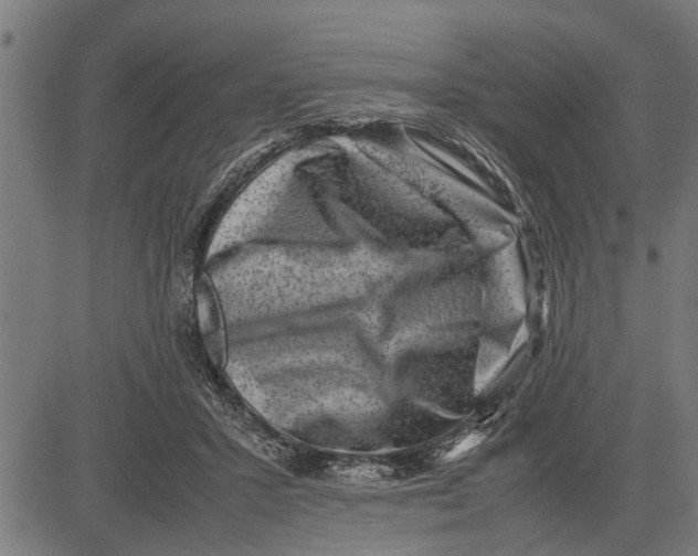 X0000081450407200702021747