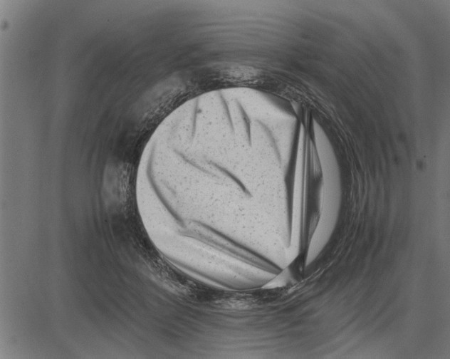 X0000081450412200702021747