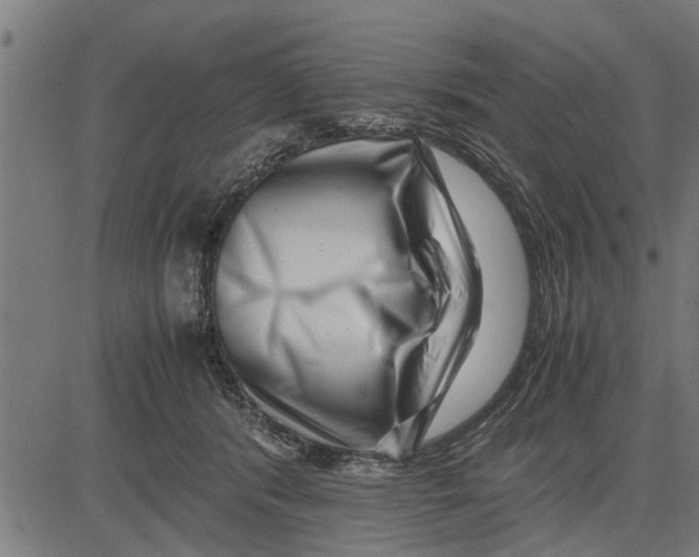 X0000081450416200702021747