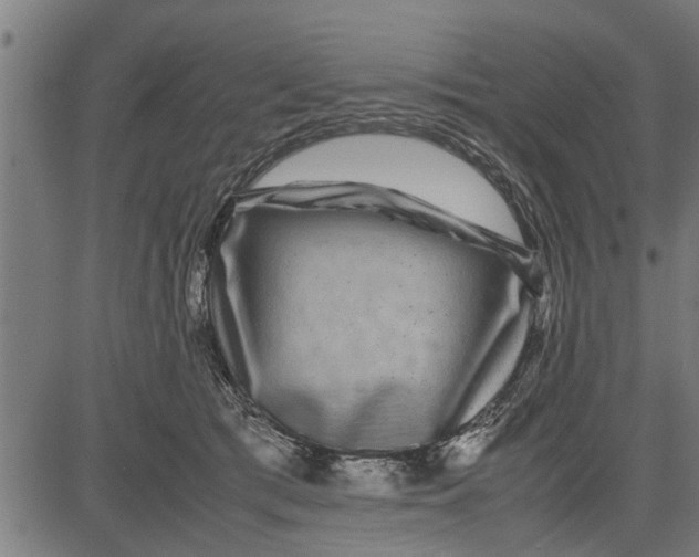 X0000081450417200702021747
