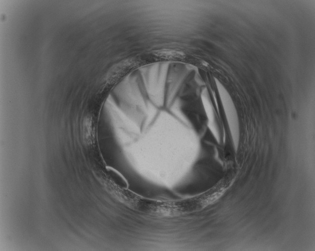 X0000081450420200702021747