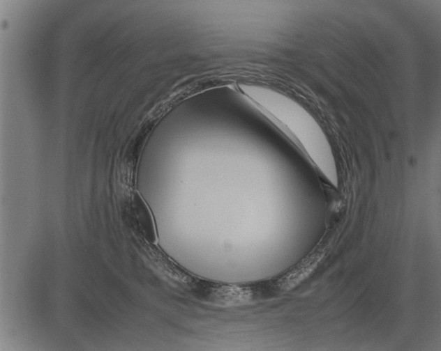 X0000081450421200702021747