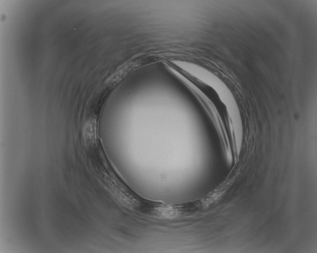X0000081450425200702021747