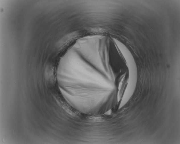 X0000081450428200702021747