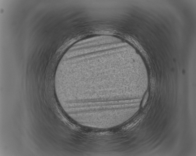 X0000081450433200702021746