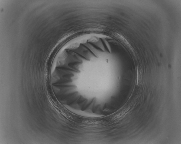 X0000081450435200702021746