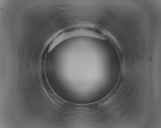 X0000081450436200702021746