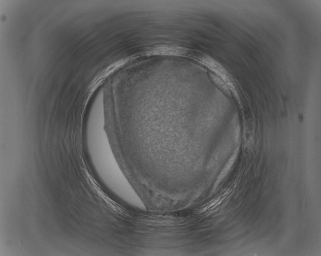 X0000081450437200702021746